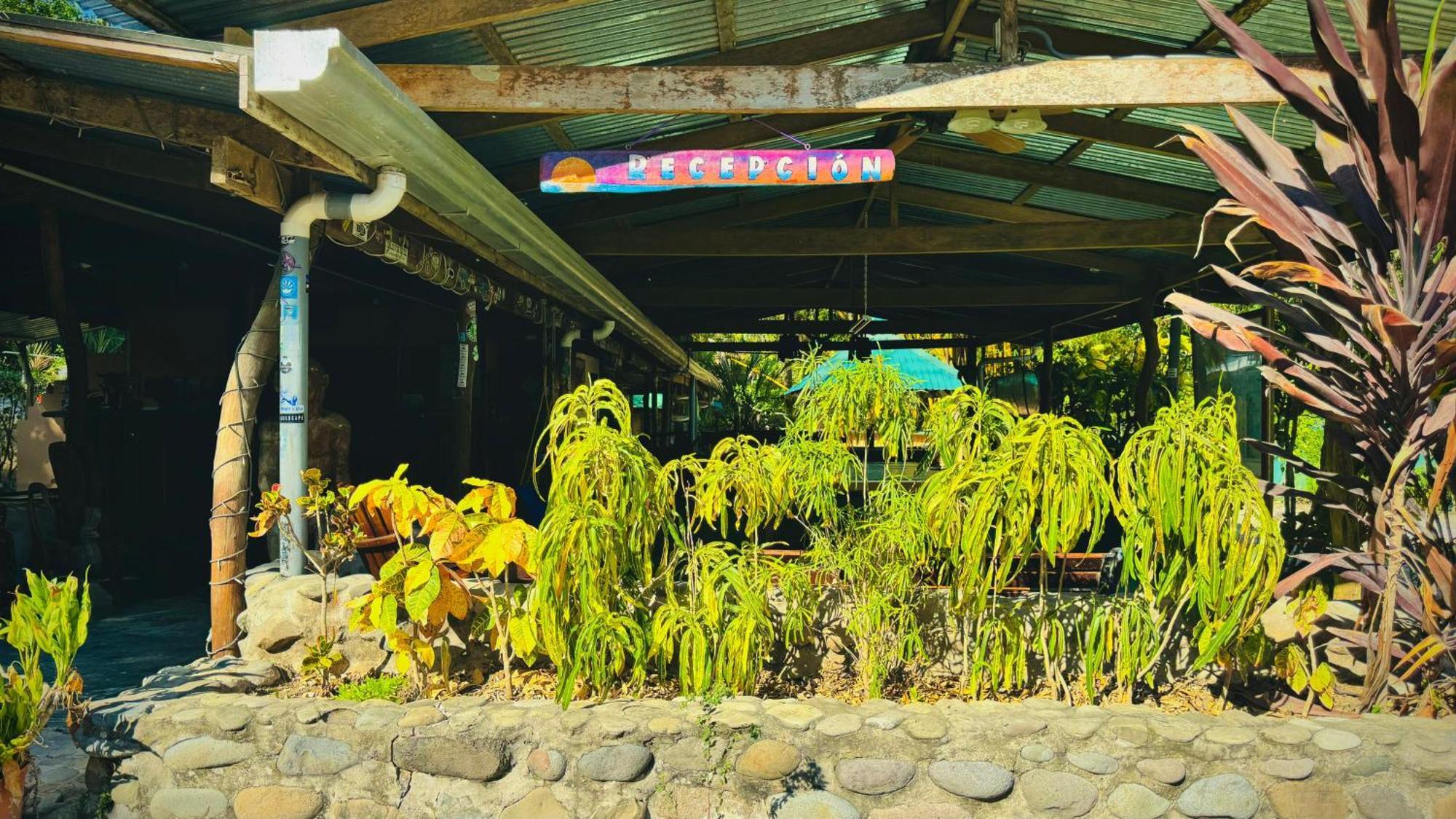 Hotel Mal Pais Surf Camp Playa Santa Teresa  Exterior foto